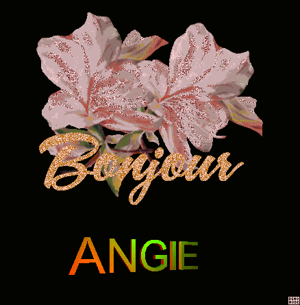 bonjour!